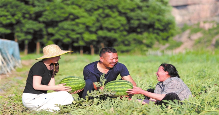 大寧縣太古鎮(zhèn)：大力發(fā)展西瓜種植產(chǎn)業(yè)